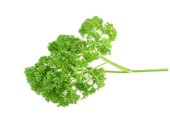 Top view of Parsley isolated on white background