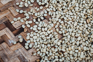 a seed of coffee beans macro