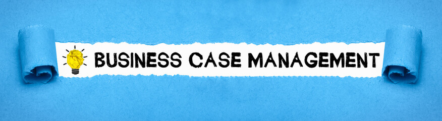 Business Case Management