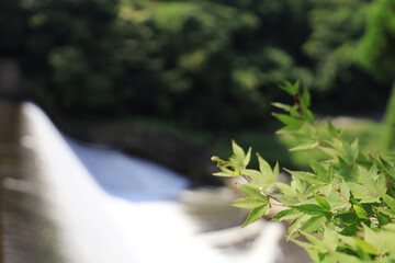 白水ダムの滝と自然