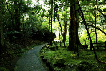 高千穂峡の自然