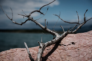 seashore, detail, abstract, wallpaper,