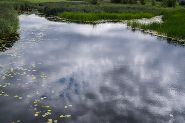 narrow river, reflection of sky and clouds in the water, reeds along the shore and various weeds