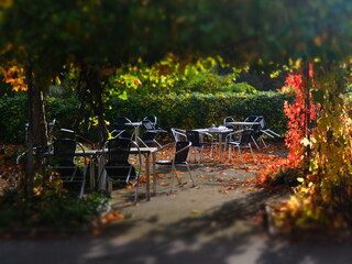 Cafe aglow in the autumn sun