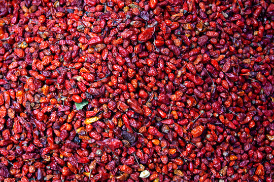 Small hot red chilli peppers at the market, Antigua Guatemala