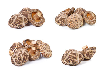 Dry Mushrooms on white background