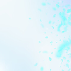 Turquoise flower petals falling down. Original rom