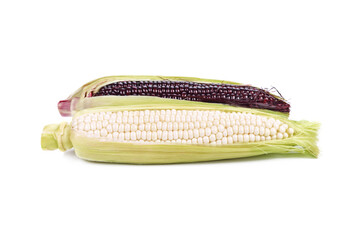 Fresh corn isolated on white background.