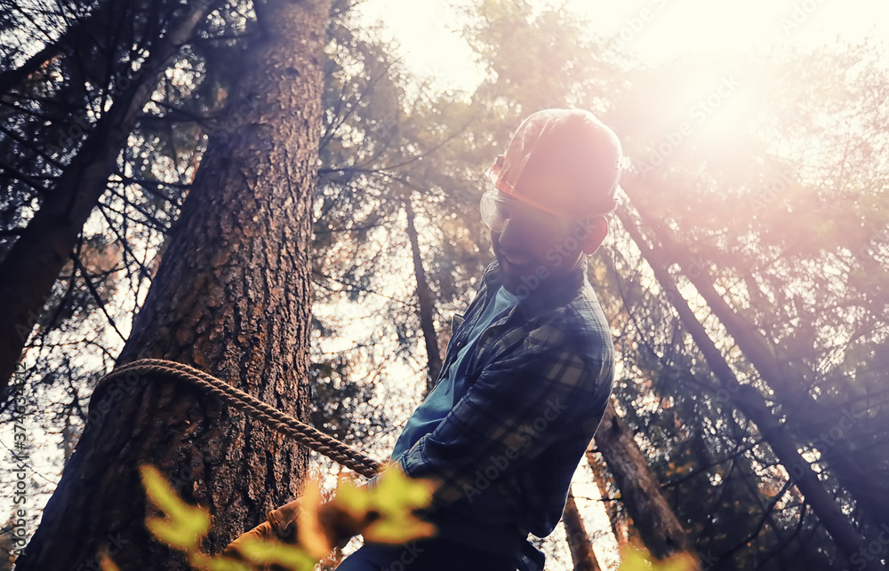 Poster Male worker with an ax chopping a tree in the forest.