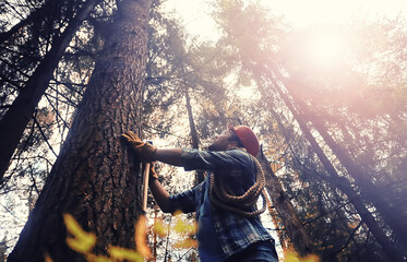 Male worker with an ax chopping a tree in the forest.