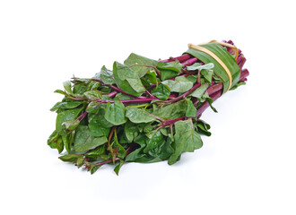 Ceylon spinach or Malabar spinach isolated on white background