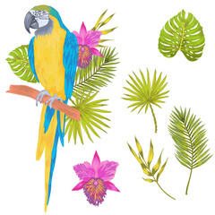 Vector with watercolor effect parrot macaw sitting on a branch with tropical leaves and flower