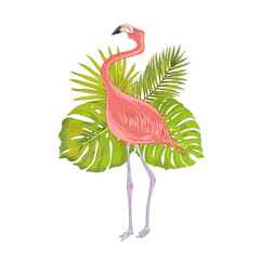 Vector illustration of pink flamingo bird with watercolor effect with  fhilodendron, areca palm, fan palm.