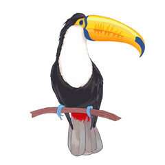Realistic vector hand drawn illustration tropical  toucan bird. Colorful tropic birds isolated on white with watercolor effect © Kamila
