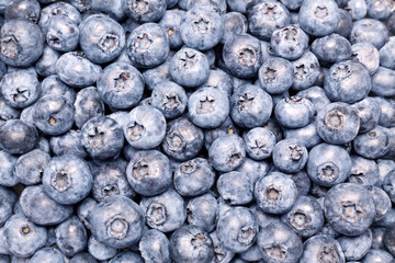 Fresh Bilberries. Close-up background. Shallow DOF