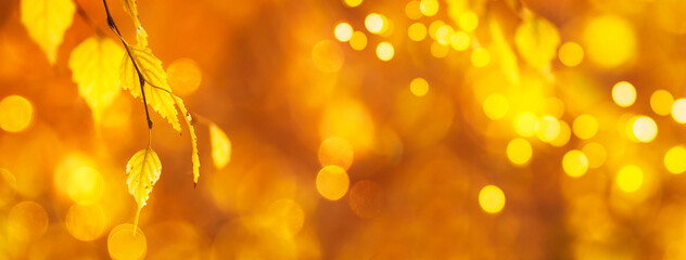 Autumn background with orange, yellow leaves and golden sun lights, natural bokeh. Fall nature landscape with copy space