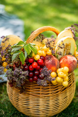 Basket of fresh organic fruits in the garden