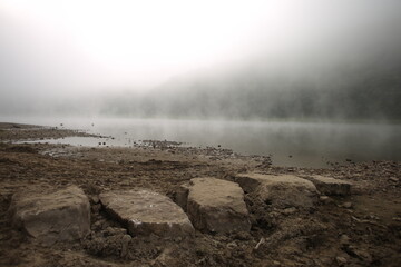 stones in the river in the fog