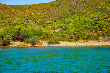 tropical beach with palm trees
