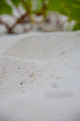 The view of the beach and sand on Koh Rong island in Cambodia