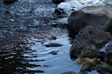 beautiful summer river landscape