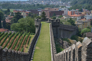 Castlegrande in Bellinzona in der Schweiz 30.7.2020