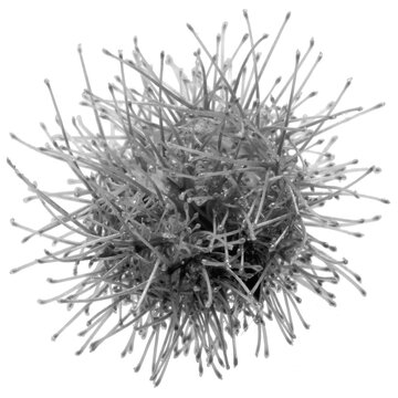 Virus, illustration sur fond blanc 