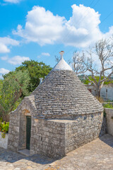 Fototapeta na wymiar Beautiful Trullo, traditional Apulian dry stone hut old houses with a conical roof in Itria Valley, Puglia, Italy, with olive trees and nature, vertical