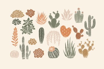 Various cactus collection. Vintage silhouette style illustration. Succulent set. Vector illustration © Maria