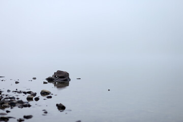 stones in the river in the fog