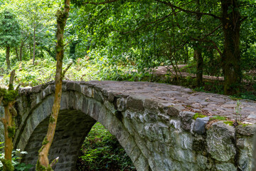 Ancient stone bridge near Mirveti waterfall