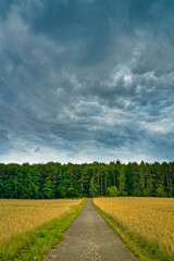 Country Road in The Field
