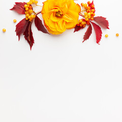 Autumn composition with flowers, leaves and berries on white background. Flat lay, copy space.