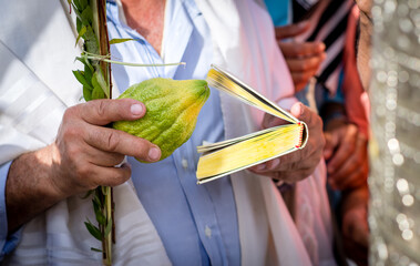 Close up of Jewish man's hands holding the prayer book and Four Species (lulav, hadass, aravah and...