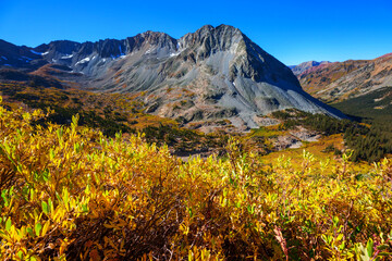 Naklejka premium Autumn in Colorado