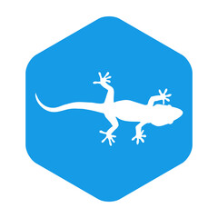 Silueta de lagarto en hexágono de color azul