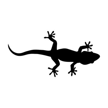 recommend clip art: Silueta de lagarto en color negro