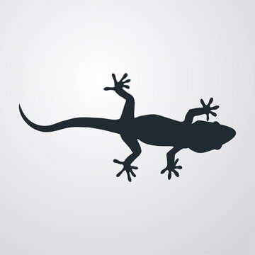 recommend clip art: Silueta de lagarto en fondo gris