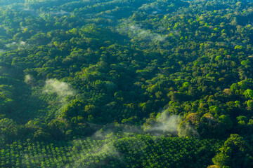 Corcovado National Park, Osa Peninsula, Puntarenas Province, Costa Rica, Central America, America