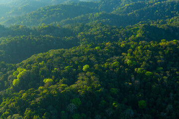 Fototapeta premium Corcovado National Park, Osa Peninsula, Puntarenas Province, Costa Rica, Central America, America