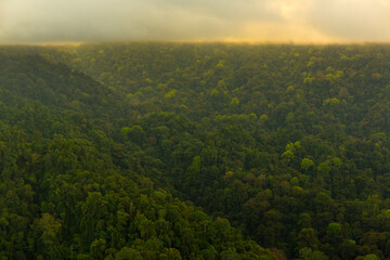 Corcovado National Park, Osa Peninsula, Puntarenas Province, Costa Rica, Central America, America