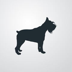 Razas de perros. Silueta de perro schnauzer miniatura de pie en fondo gris