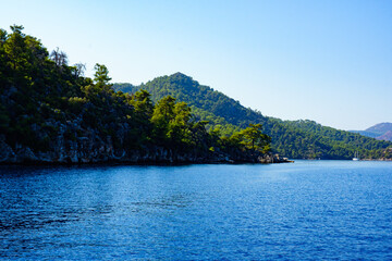 Obraz premium rocky island with trees among the blue sea