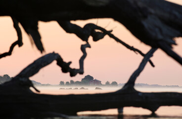 Sommermorgen auf Rügen bei Lauterbach mit Nebel