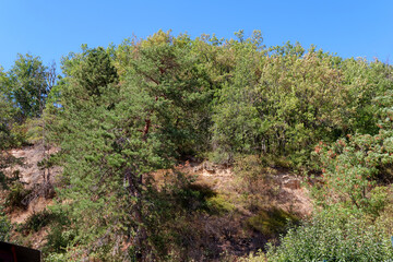 Obraz premium Hills of the Essonne valley in the french Gatinais regional nature park
