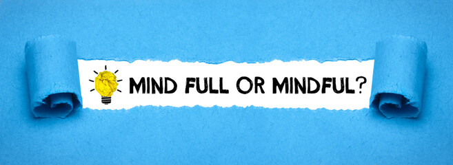 Mind full or mindful 