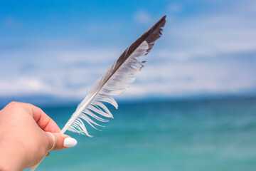 feather in woman hand nature background
