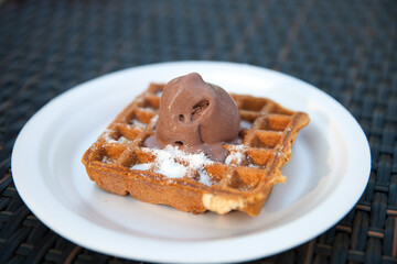 fresh wafer with chocolate ice cream