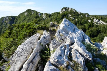 Fototapeta na wymiar Mountain view in beautiful National Park Risnjak, Croatia