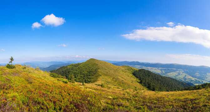 Traveling by the Carpathians. Polonyna Runa, Gostra, and other peaks. Spring, Summer and Autumn rest in the Carpathians. Green, Blue colors. Forest and meadows.